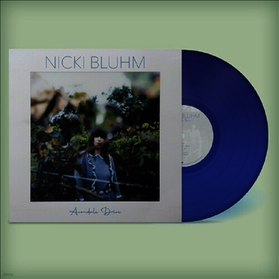 Nicki Bluhm — Avondale Drive 앨범 커버