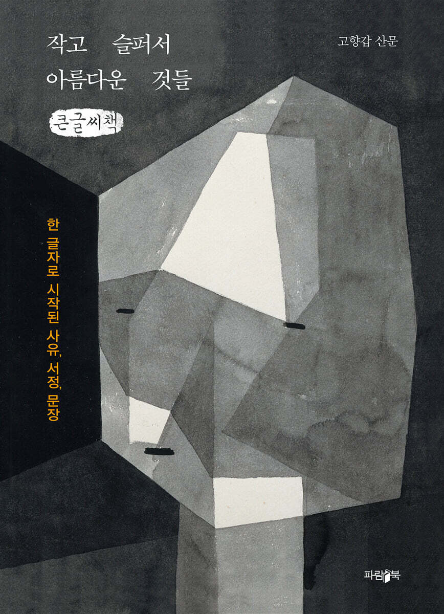 작고 슬퍼서 아름다운 것들 (큰글씨책)