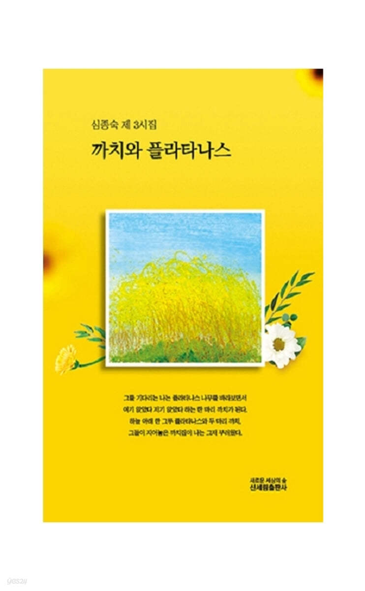 까치와 플라타나스