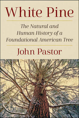 White Pine: The Natural and Human History of a Foundational American Tree