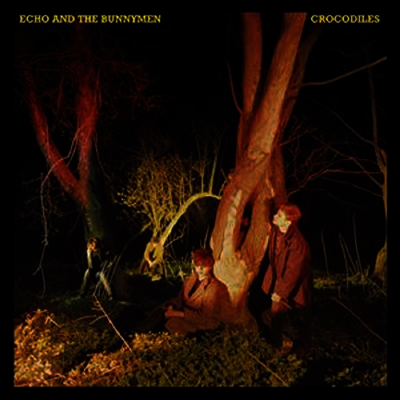 Echo & The Bunnymen — Crocodiles 앨범 커버