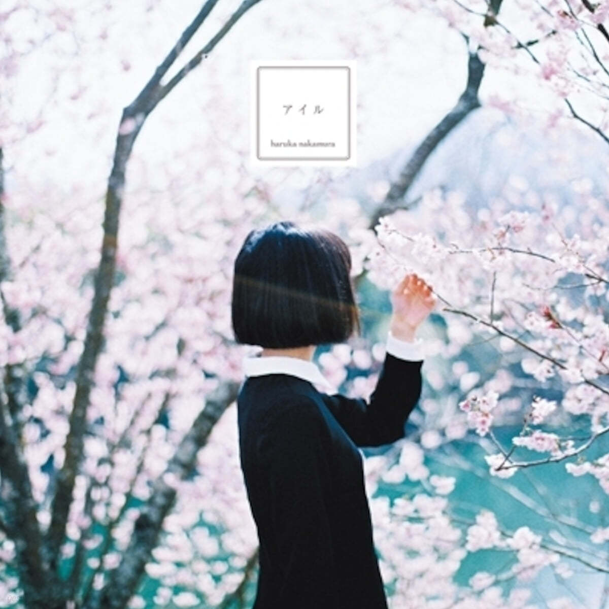 Haruka Nakamura (하루카 나카무라) - 섬 [LP]