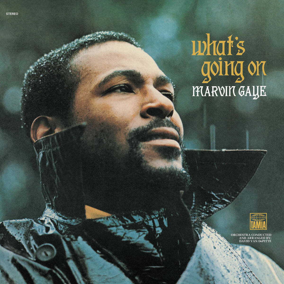 Marvin Gaye (마빈 게이) - What&#39;s Going On [2LP]