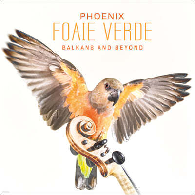 Foaie Verde (포아에 베르데) - Phoenix: Balkans And Beyond 발칸음악 모음집