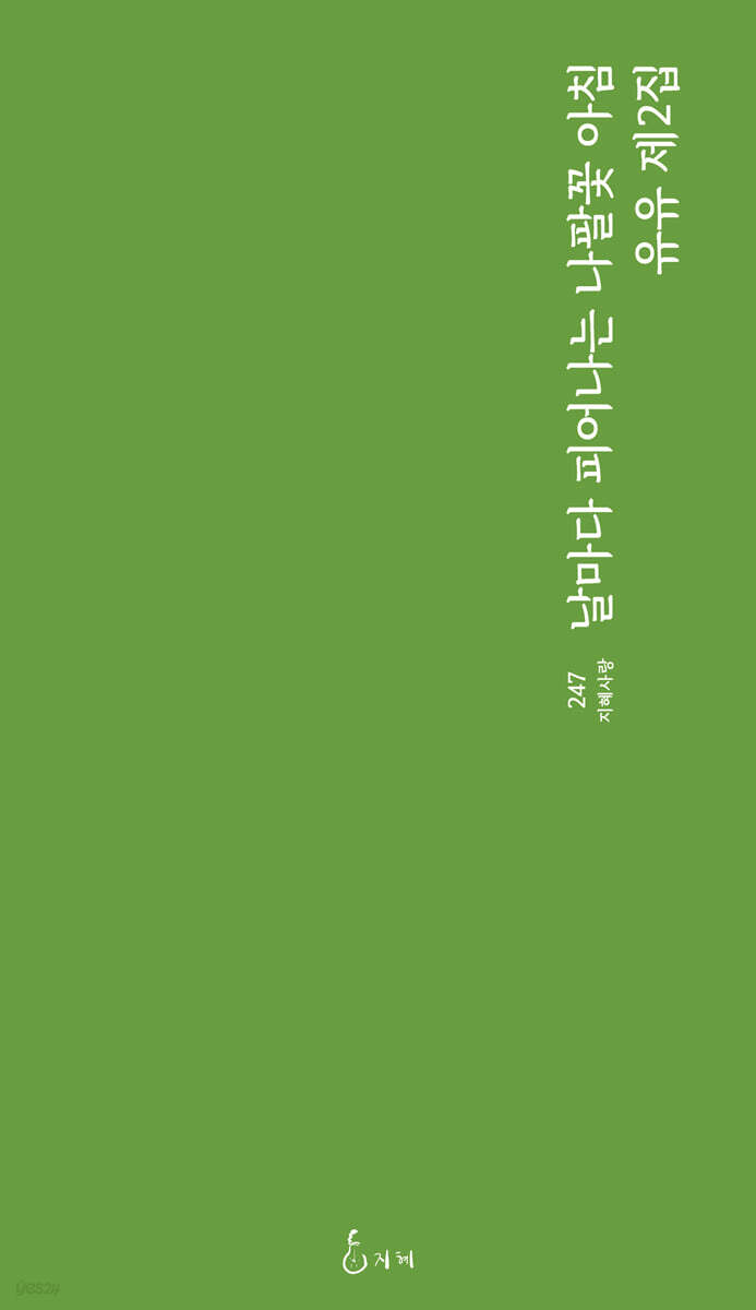 날마다 피어나는 나팔꽃 아침