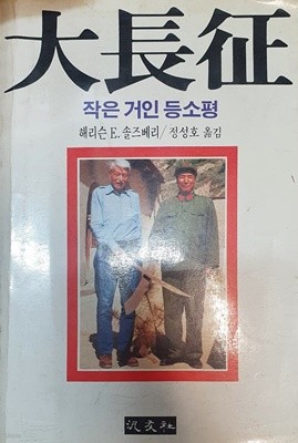 대장정 (작은거인 등소평)