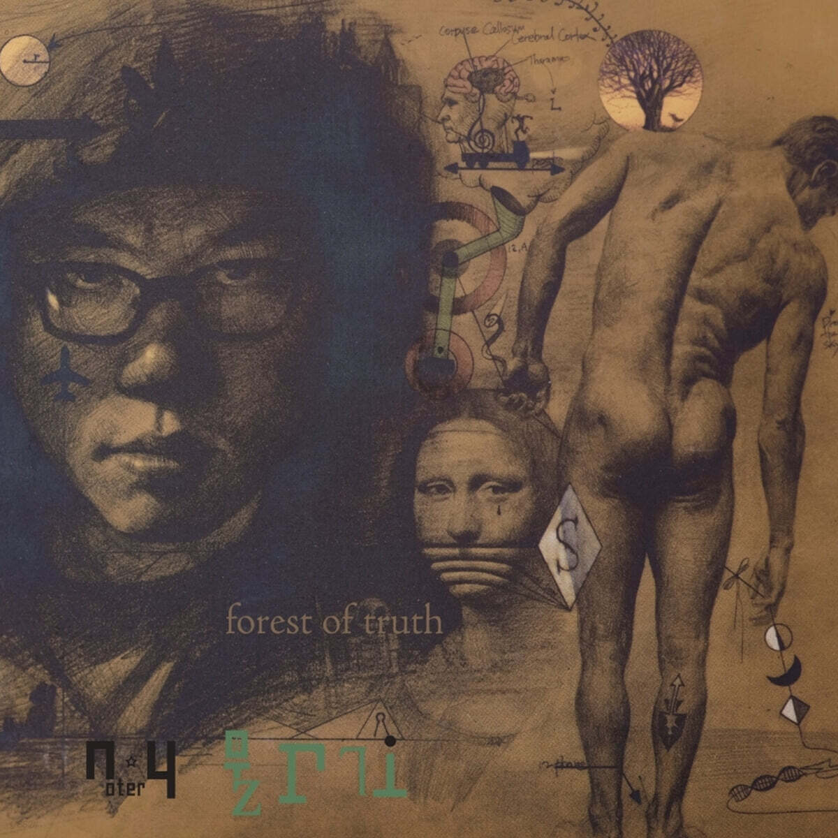 NY물고기 - 2집 진실의 숲 [2LP]
