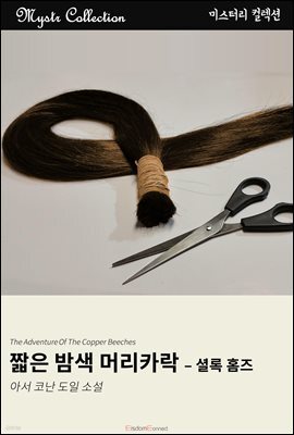 도서명 표기