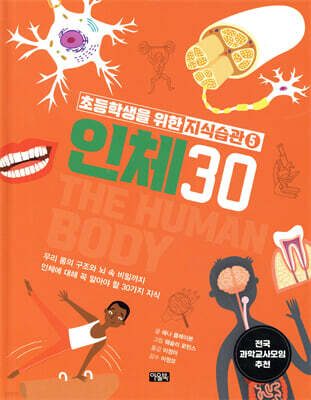 인체 30