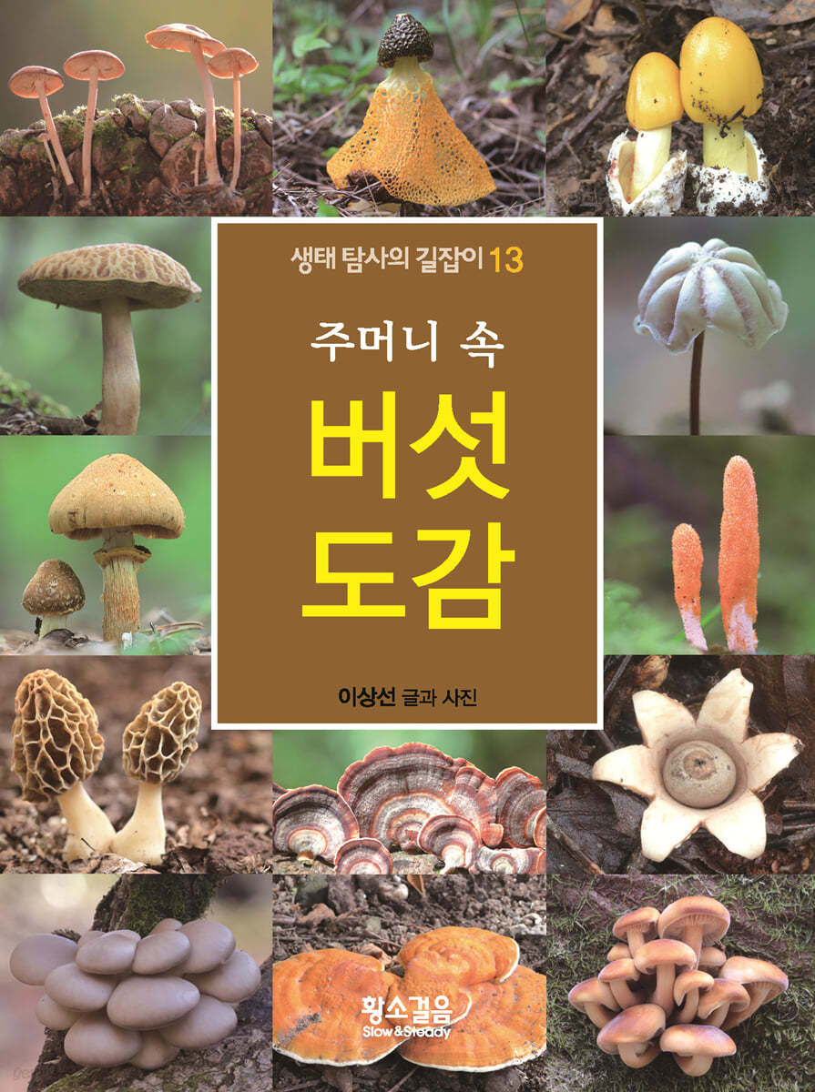 주머니 속 버섯 도감