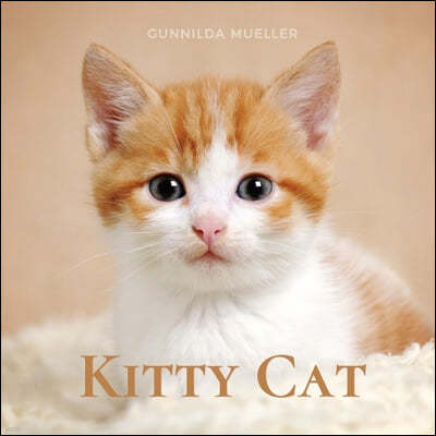 Kitty Cat: Kittens Picture Book for Dementia and Alzheimer's Patients