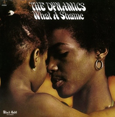 The Dynamics - What A Shame (Japan 수입)