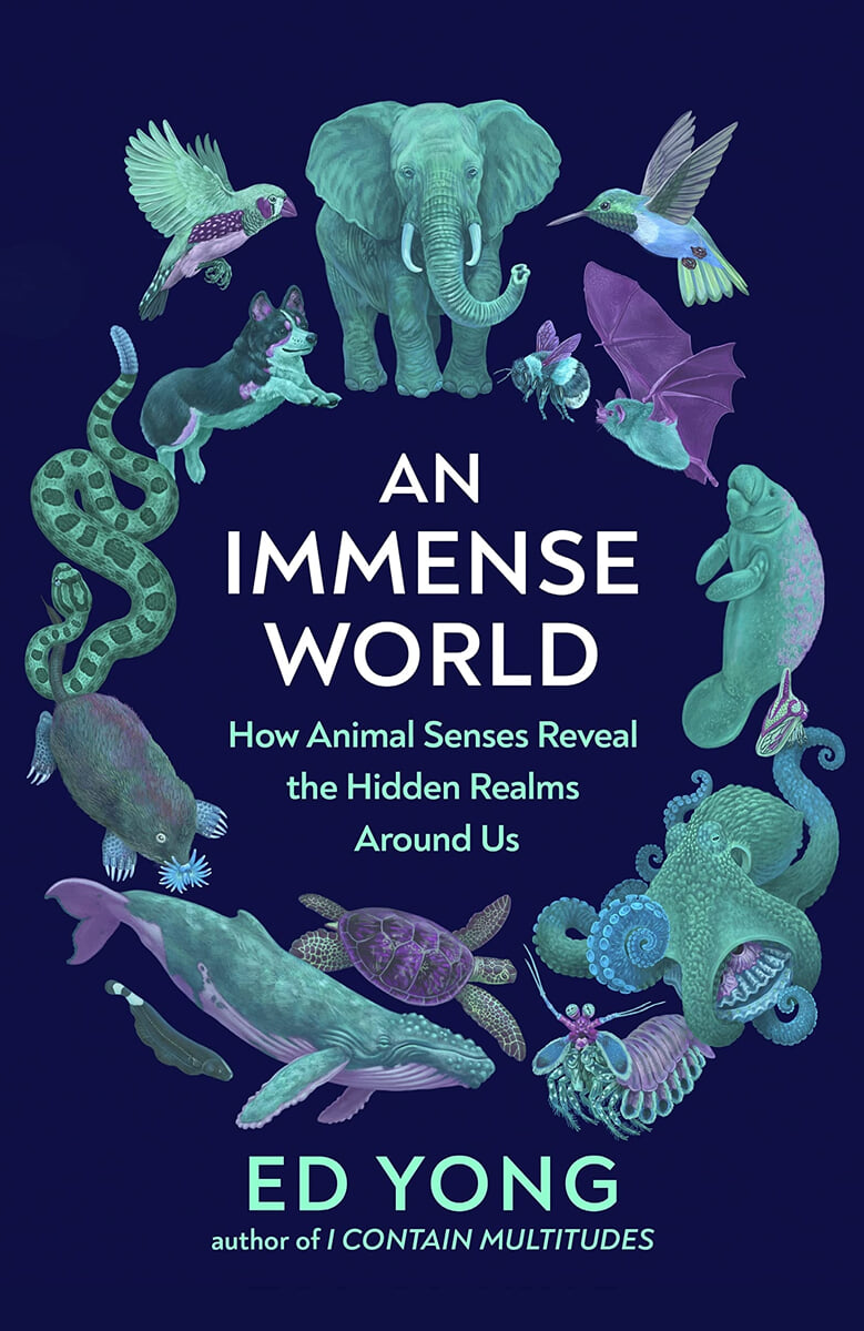 An Immense World