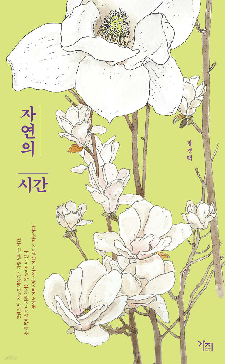 자연의 시간 (큰글자도서)