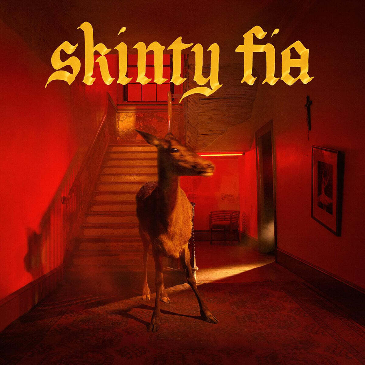 Fontaines D.C. (퐁텐 디씨) - 3집 Skinty Fia