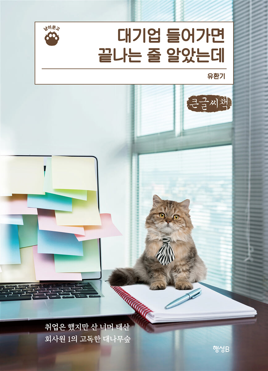 대기업 들어가면 끝나는 줄 알았는데 (큰글씨책)