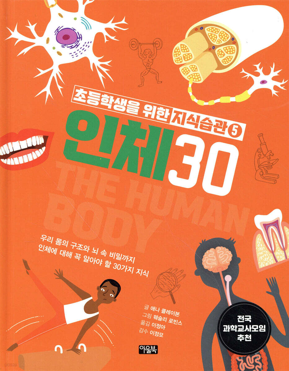 인체 30