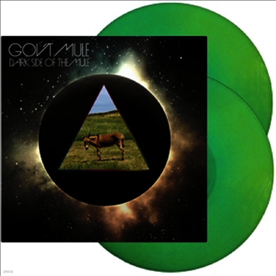 Gov't Mule — Dark Side Of The Mule 앨범 커버