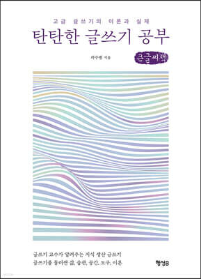 탄탄한 글쓰기 공부 (큰글씨책)