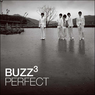 버즈 (Buzz) - 3집 Perfect [LP] 