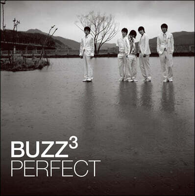 버즈 — 3집 Perfect 앨범 커버