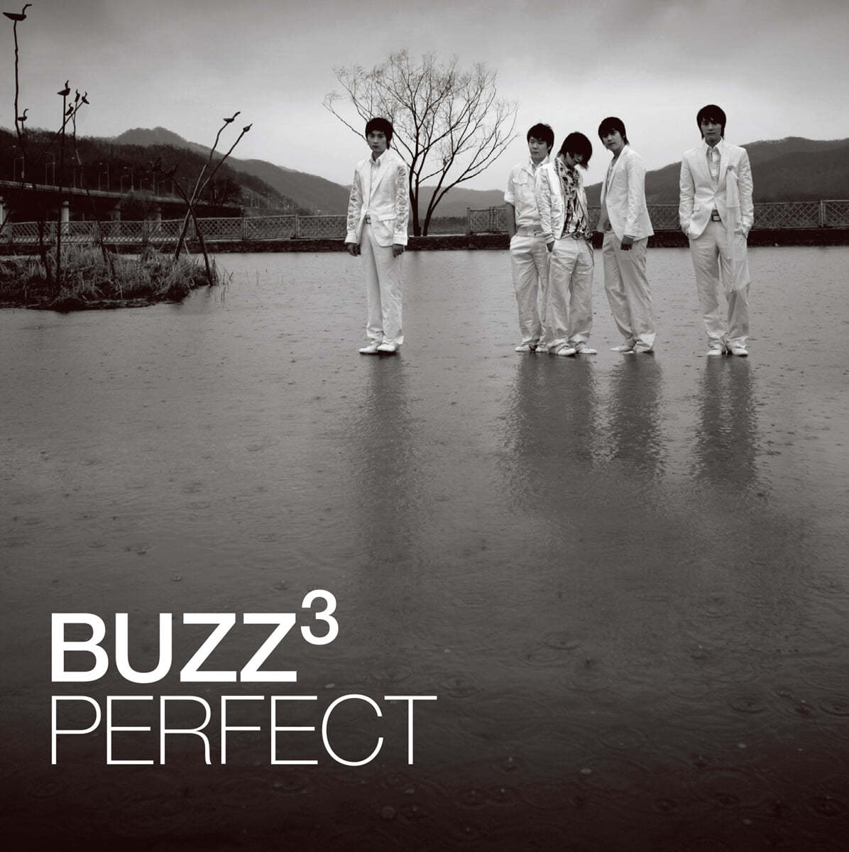 버즈 (Buzz) - 3집 Perfect [LP] 