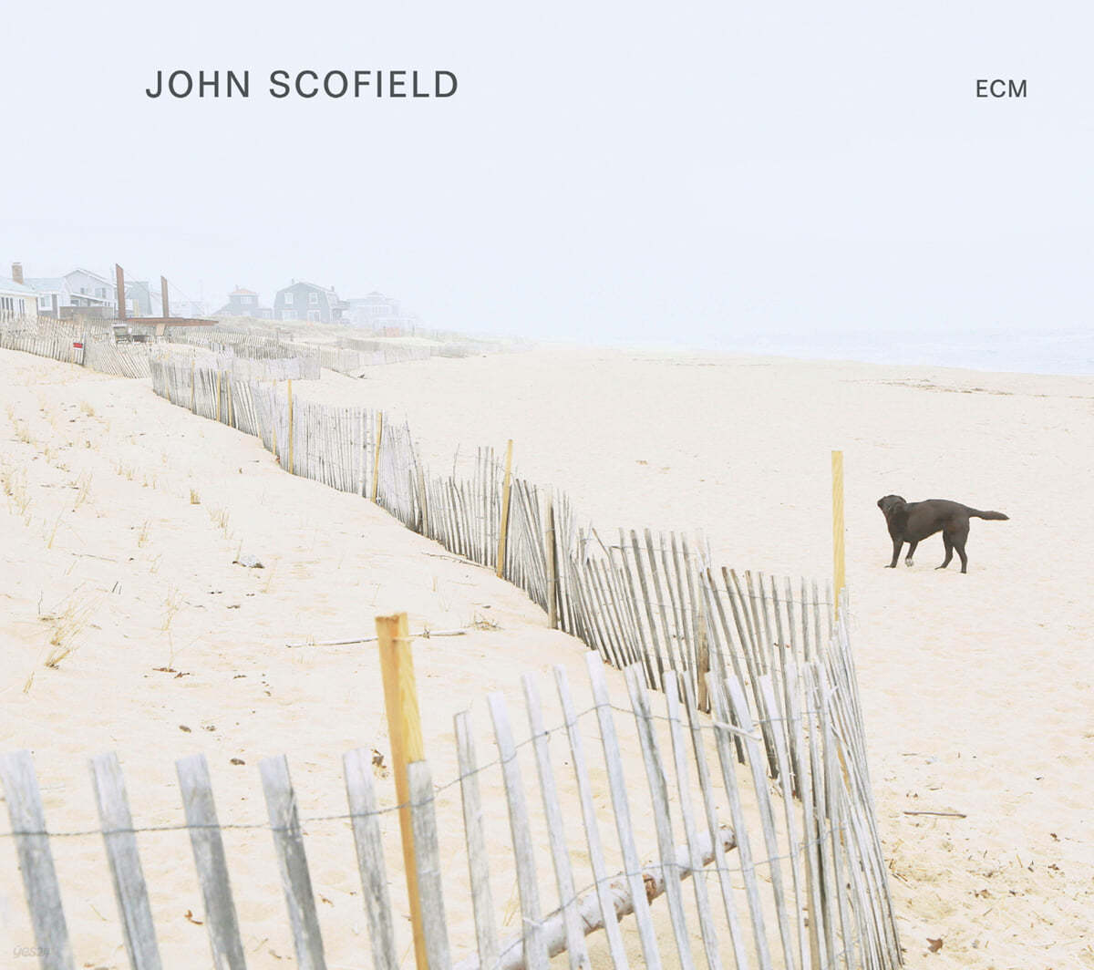 John Scofield (존 스코필드) - John Scofield 
