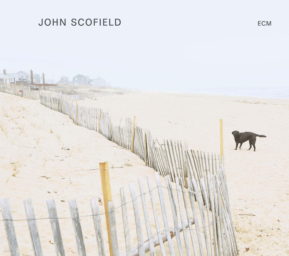 John Scofield (존 스코필드) - John Scofield
