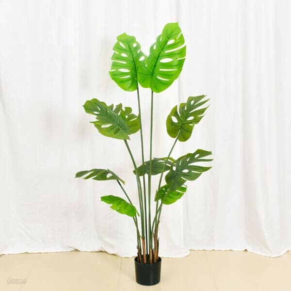 몬스테라 조화(150cm)