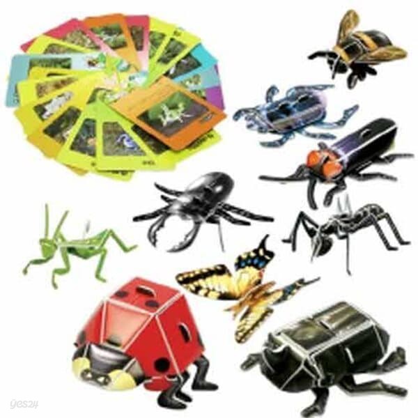 [스콜라스]교과서에 나오는 한국의곤충/3D종이입체퍼즐