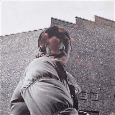 Aldous Harding (알더스 하딩) - Warm Chris [LP]