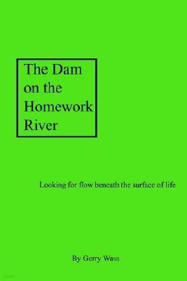 The Dam on the Homework River: Looking for Flow Beneath the Surface of Life
