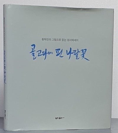 골고다에 핀 나팔꽃 - 황학만의 그림으로 읽는 성서에세이