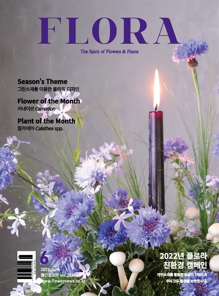 월간 FLORA 2022년 6월호