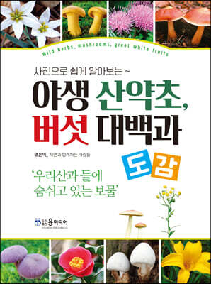 야생 산약초, 버섯 대백과 도감