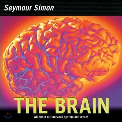 [߰] The Brain: All about Our Nervous System and More!