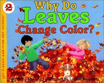 [߰] Why Do Leaves Change Color?