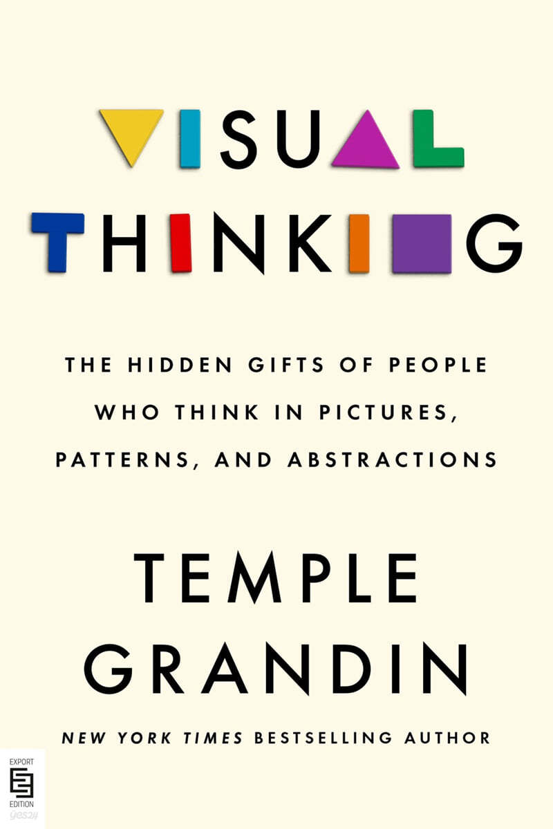 Visual Thinking