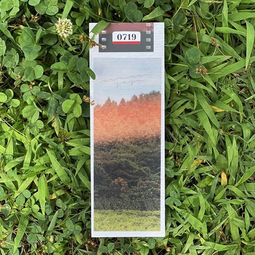 SUMMER,JEJU BOOKMARK , ϸũ å