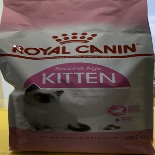 로얄캐닌 키튼 캣 고양이 반려묘 사료 2kg