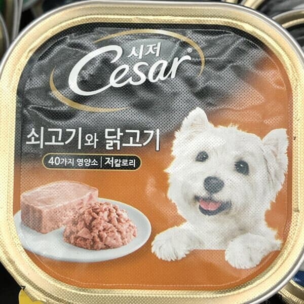 시저 Cesar 쇠고기와 닭고기 애견 반려견 사료 100g