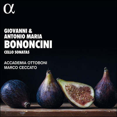 Marco Ceccato 보논치니: 첼로 소나타 (Bononcini: Cello Sonatas)