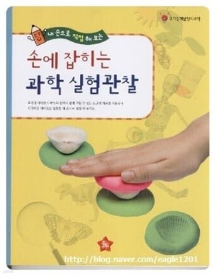 손에 잡히는 과학 실험관찰