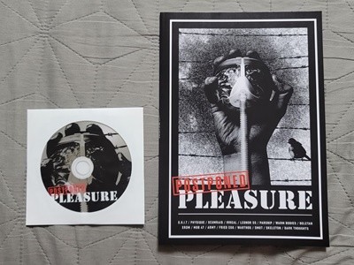 V.A - Postponed Pleasure (CD & MAGAZINE)