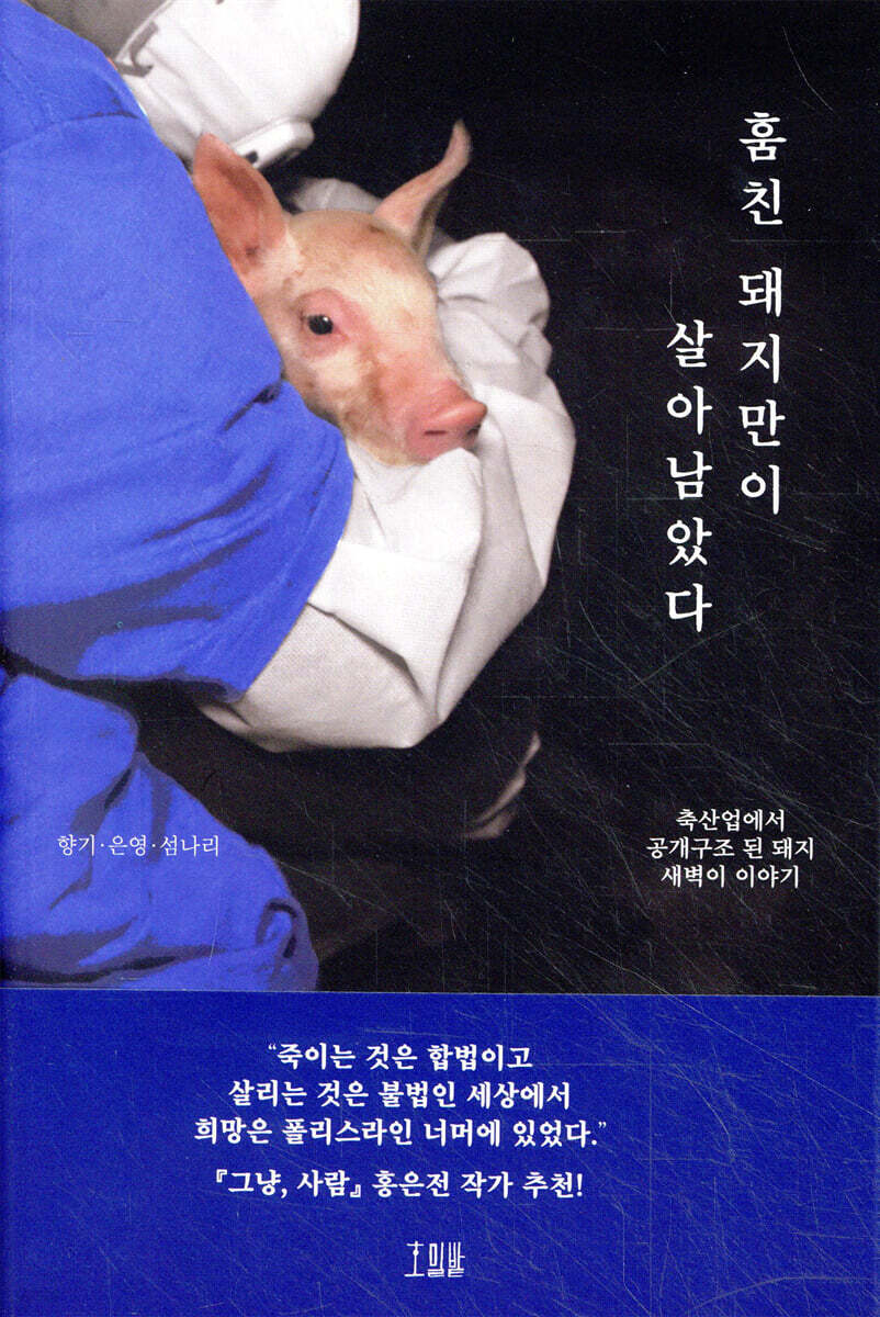 훔친 돼지만이 살아남았다