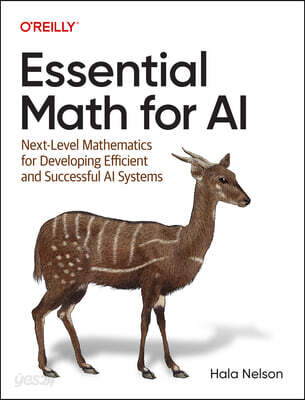 Essential Math for AI: Next-Level Mathematics for Efficient and Successful AI Systems
