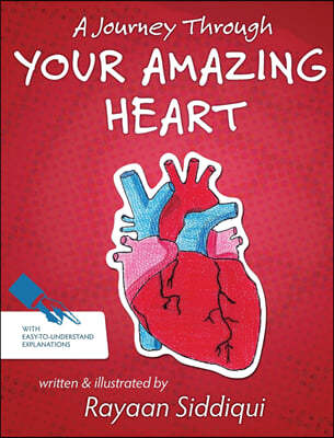 A Journey Through Your Amazing Heart