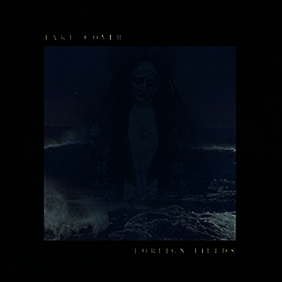 Foreign Fields — Take Cover (Gatefold)(Download Card) 앨범 커버