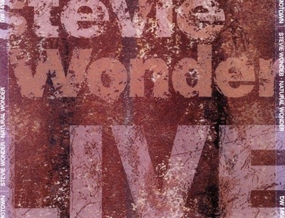 스티비 원더 - Stevie Wonder - Natural Wonder 2Cds