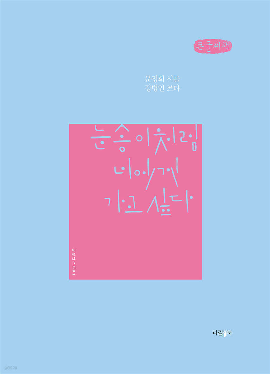 눈송이처럼 너에게 가고 싶다 (큰글씨책)